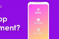 為什么要定制APP開發(fā)，APP開發(fā)定制的好處？